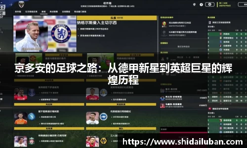 京多安的足球之路:从德甲新星到英超巨星的辉煌历程